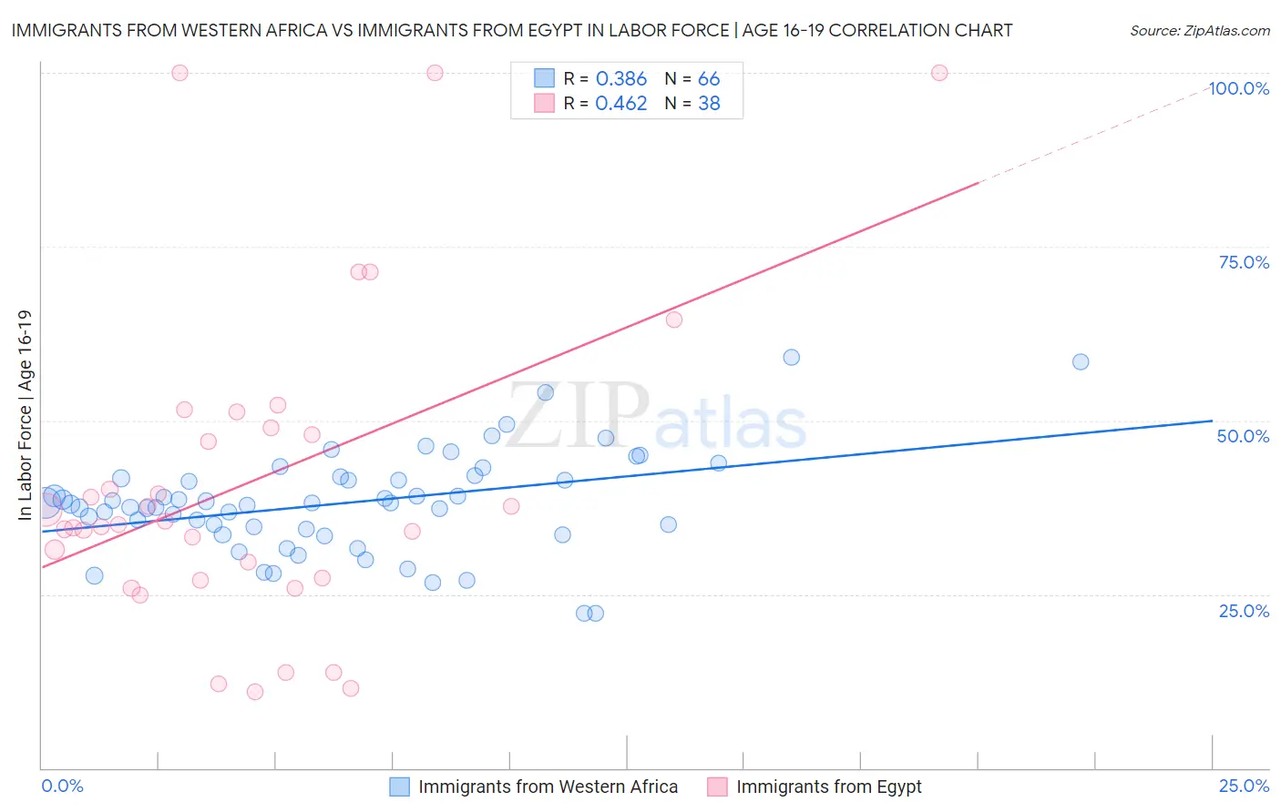 Immigrants from Western Africa vs Immigrants from Egypt In Labor Force | Age 16-19
