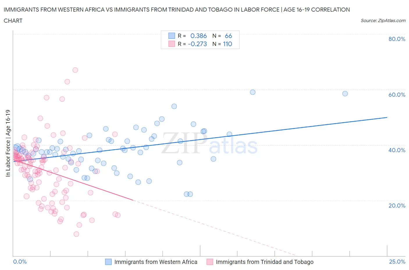 Immigrants from Western Africa vs Immigrants from Trinidad and Tobago In Labor Force | Age 16-19