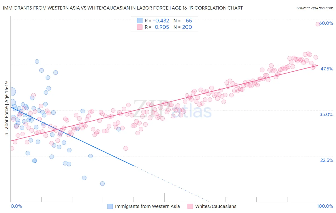 Immigrants from Western Asia vs White/Caucasian In Labor Force | Age 16-19