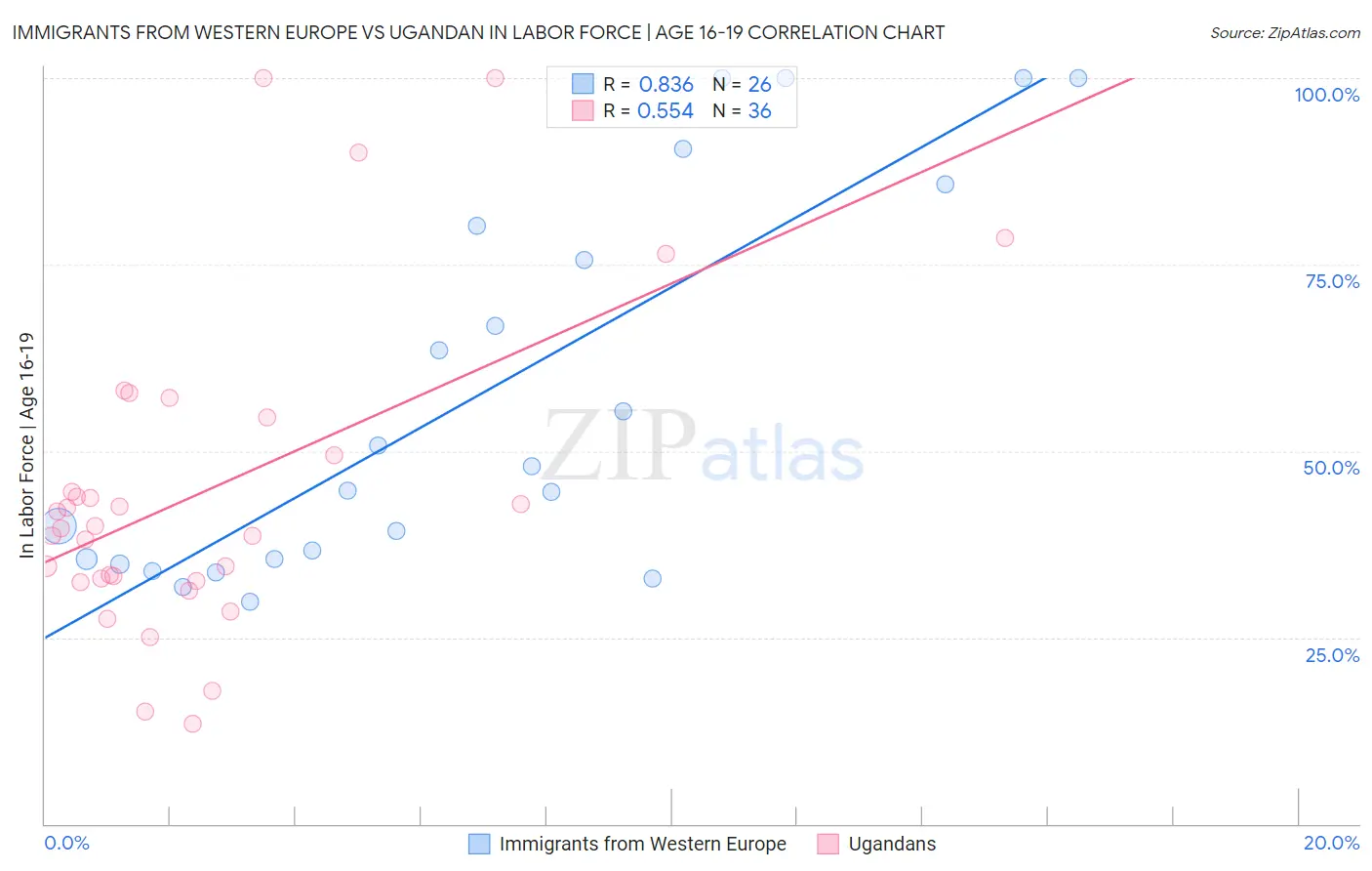 Immigrants from Western Europe vs Ugandan In Labor Force | Age 16-19