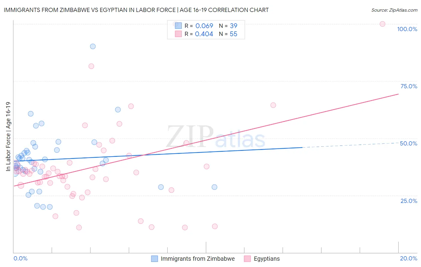 Immigrants from Zimbabwe vs Egyptian In Labor Force | Age 16-19
