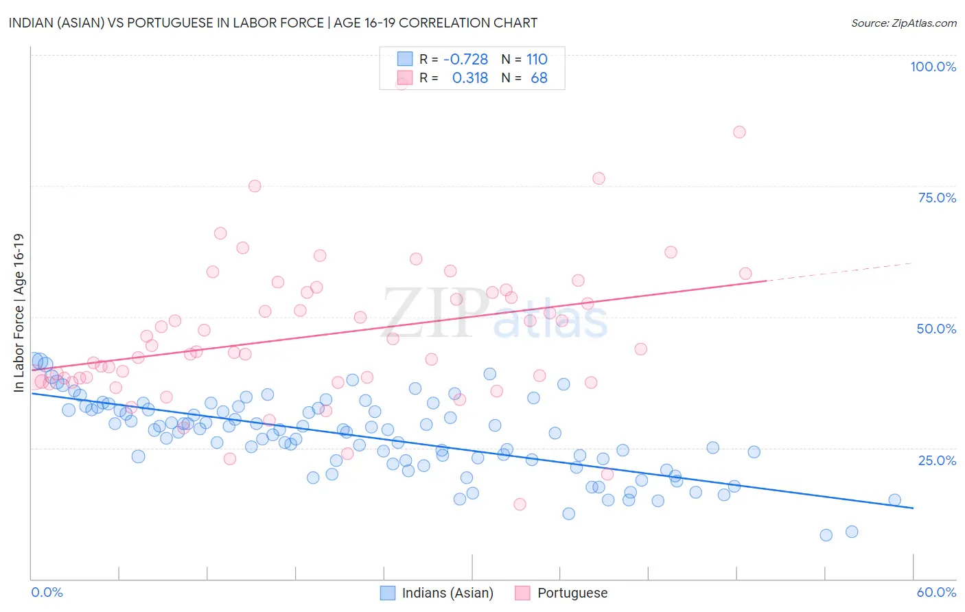 Indian (Asian) vs Portuguese In Labor Force | Age 16-19