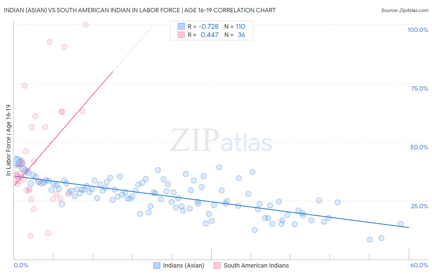 Indian (Asian) vs South American Indian In Labor Force | Age 16-19