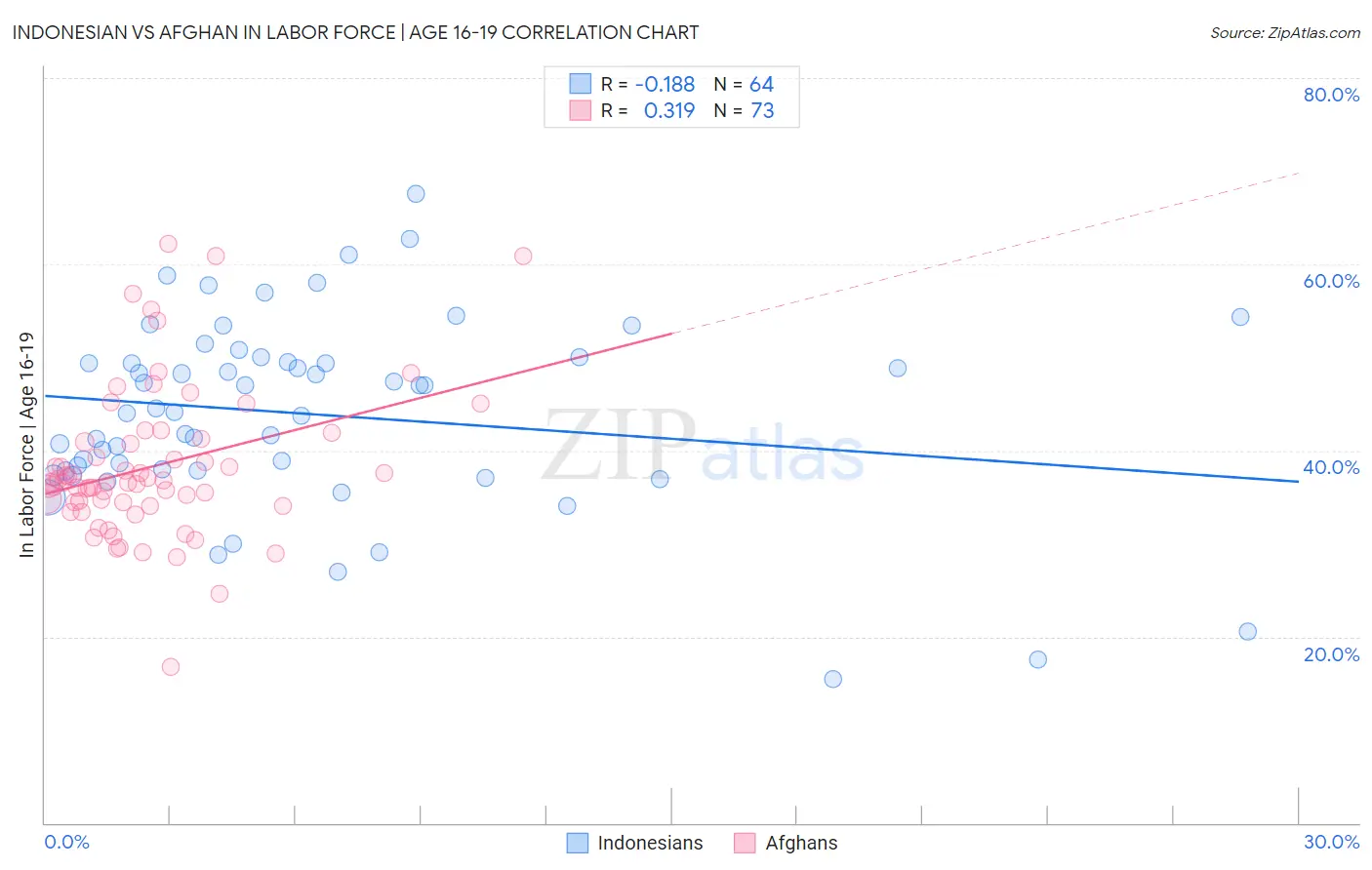 Indonesian vs Afghan In Labor Force | Age 16-19