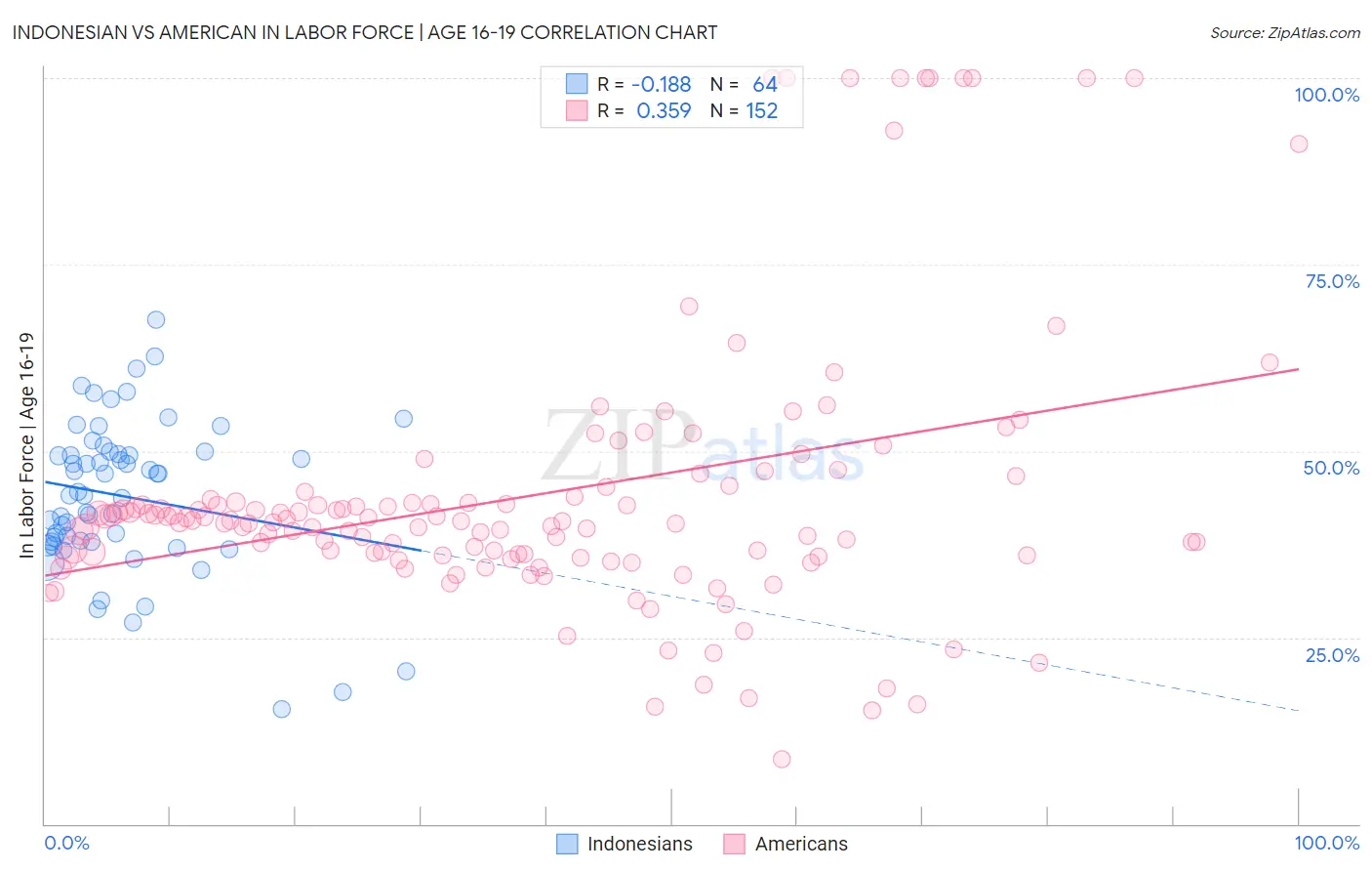 Indonesian vs American In Labor Force | Age 16-19