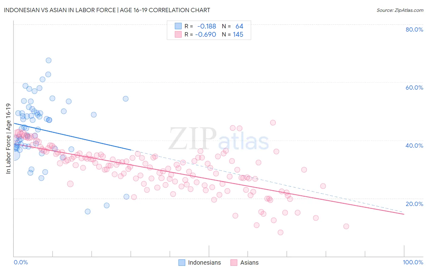 Indonesian vs Asian In Labor Force | Age 16-19