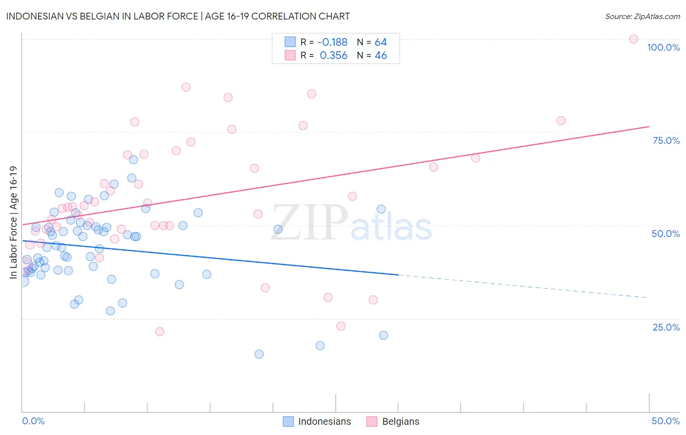 Indonesian vs Belgian In Labor Force | Age 16-19