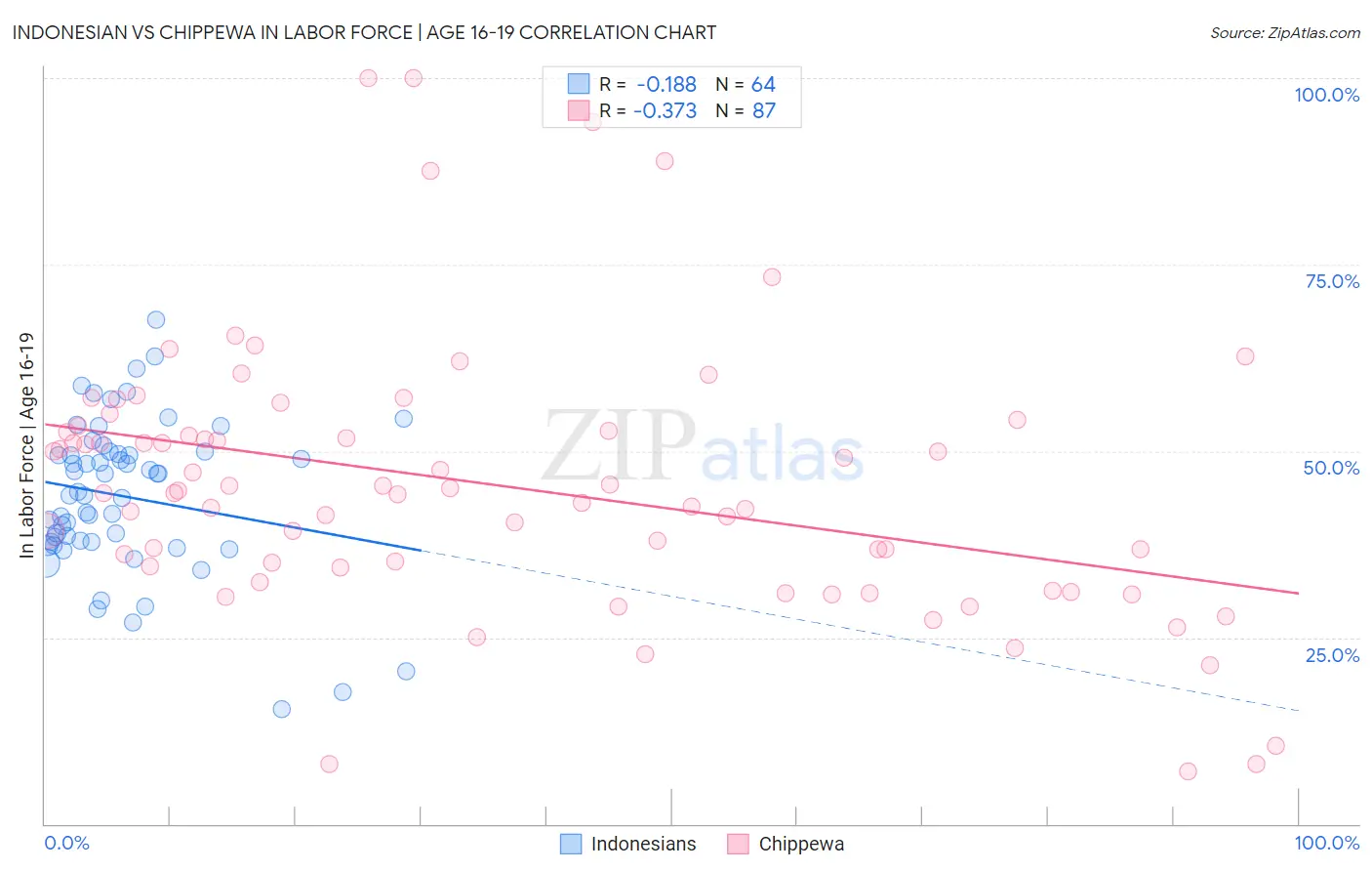 Indonesian vs Chippewa In Labor Force | Age 16-19