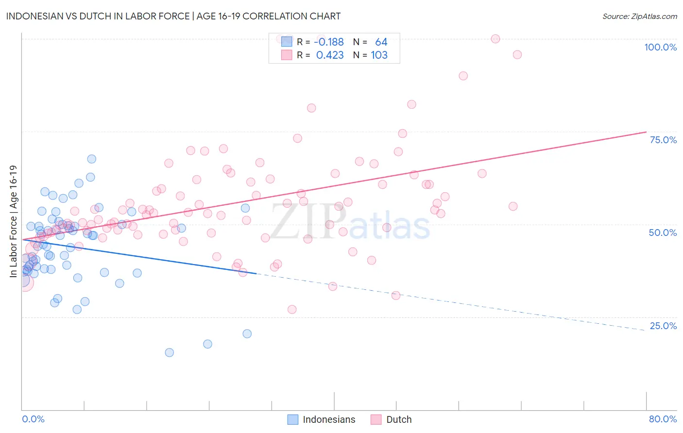 Indonesian vs Dutch In Labor Force | Age 16-19