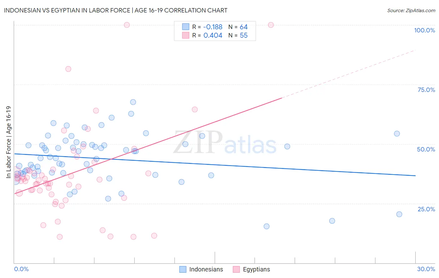 Indonesian vs Egyptian In Labor Force | Age 16-19