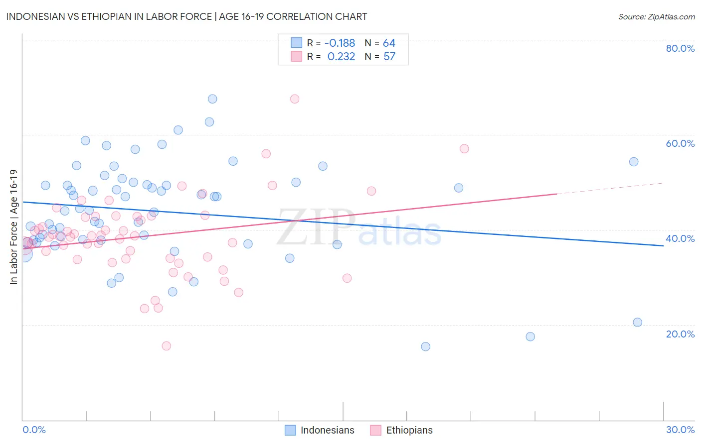 Indonesian vs Ethiopian In Labor Force | Age 16-19