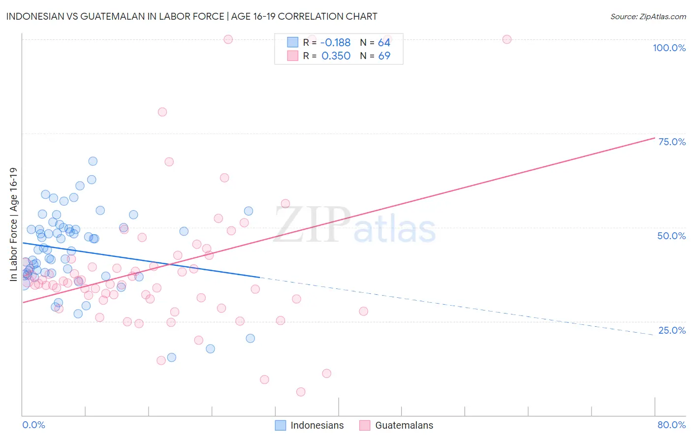 Indonesian vs Guatemalan In Labor Force | Age 16-19