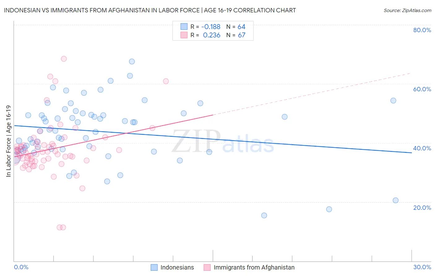 Indonesian vs Immigrants from Afghanistan In Labor Force | Age 16-19