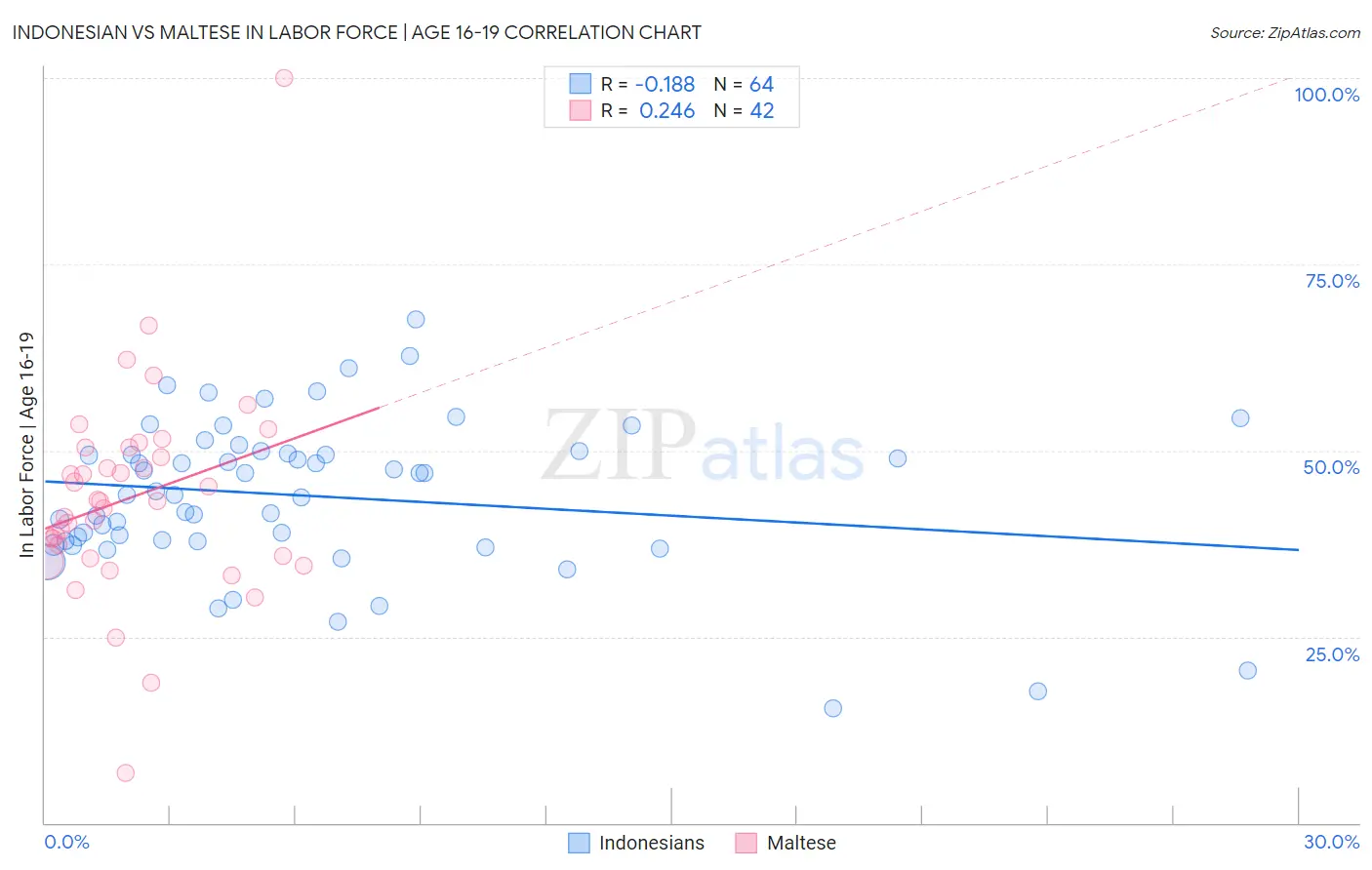 Indonesian vs Maltese In Labor Force | Age 16-19