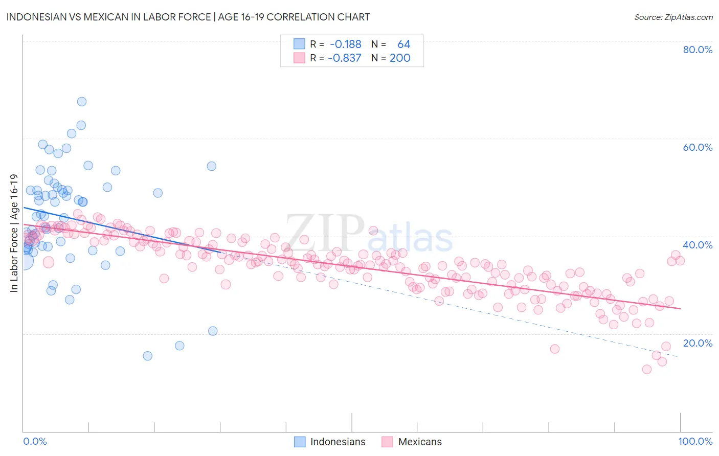 Indonesian vs Mexican In Labor Force | Age 16-19