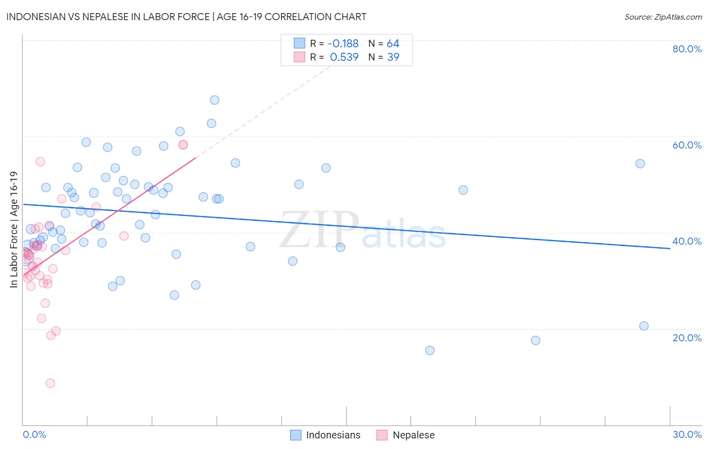 Indonesian vs Nepalese In Labor Force | Age 16-19