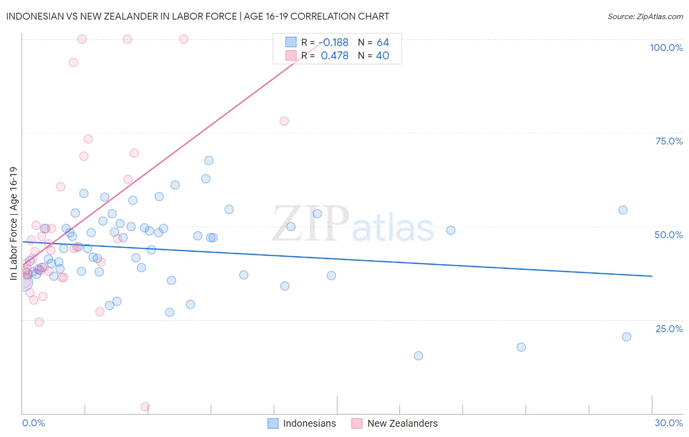 Indonesian vs New Zealander In Labor Force | Age 16-19