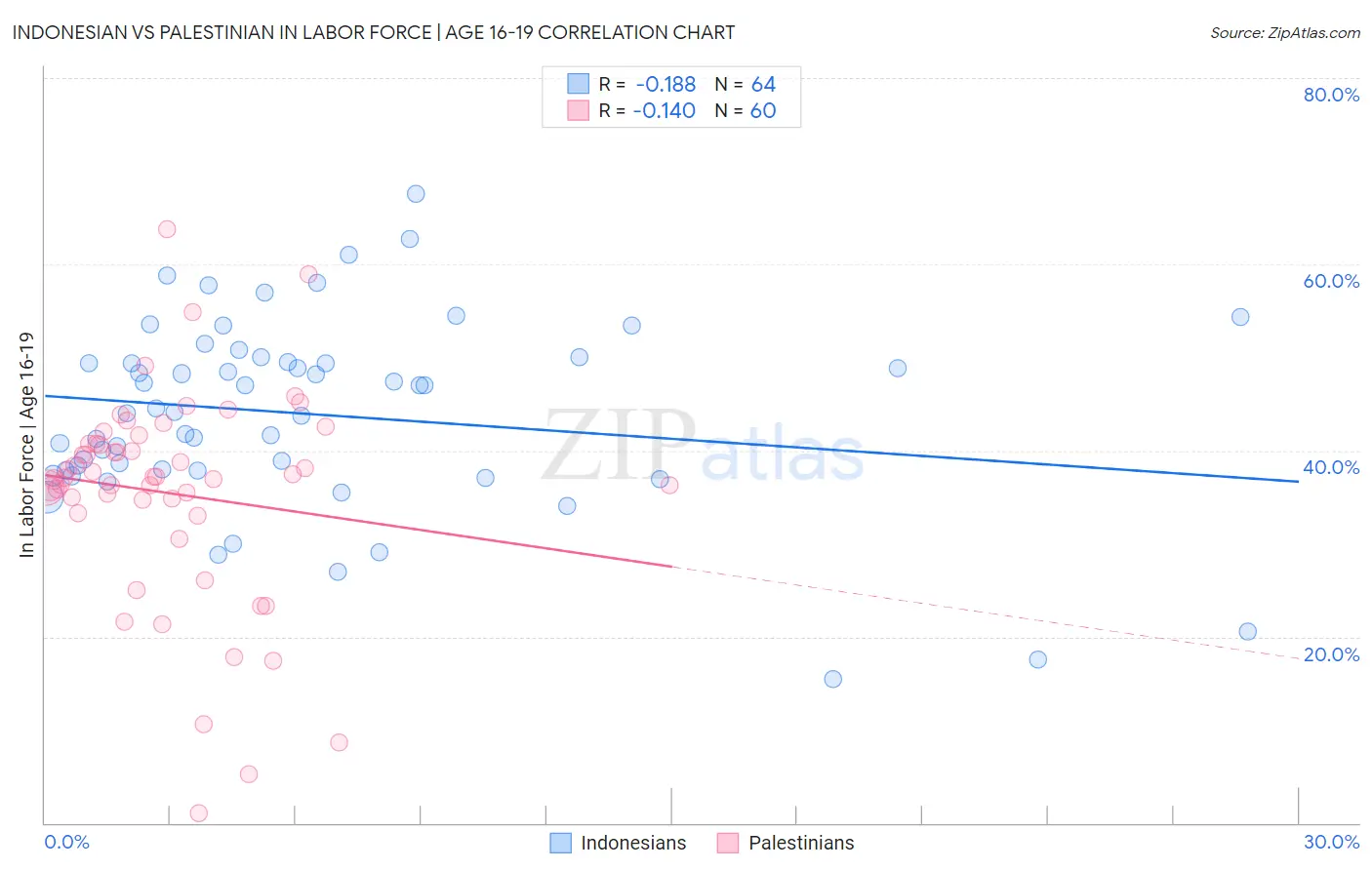 Indonesian vs Palestinian In Labor Force | Age 16-19