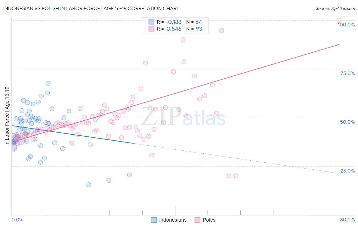 Indonesian vs Polish In Labor Force | Age 16-19