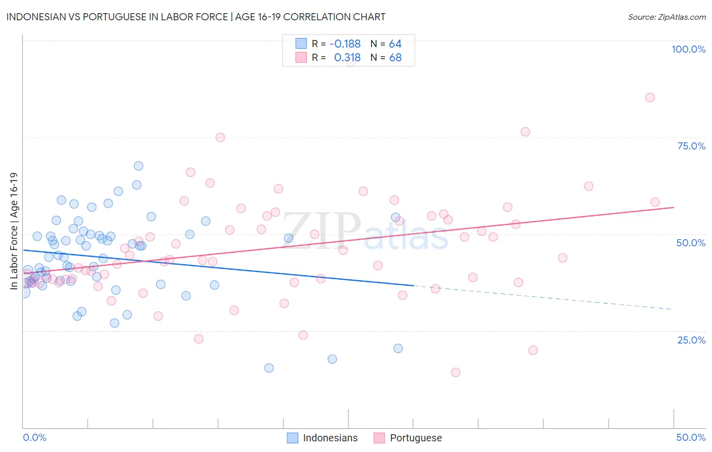 Indonesian vs Portuguese In Labor Force | Age 16-19