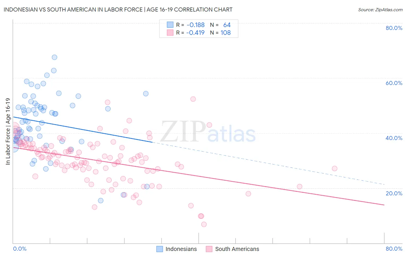 Indonesian vs South American In Labor Force | Age 16-19