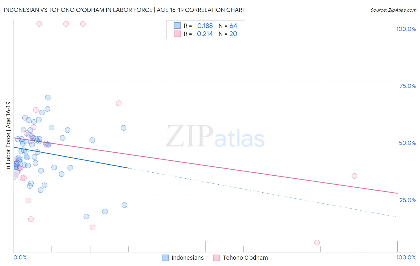 Indonesian vs Tohono O'odham In Labor Force | Age 16-19