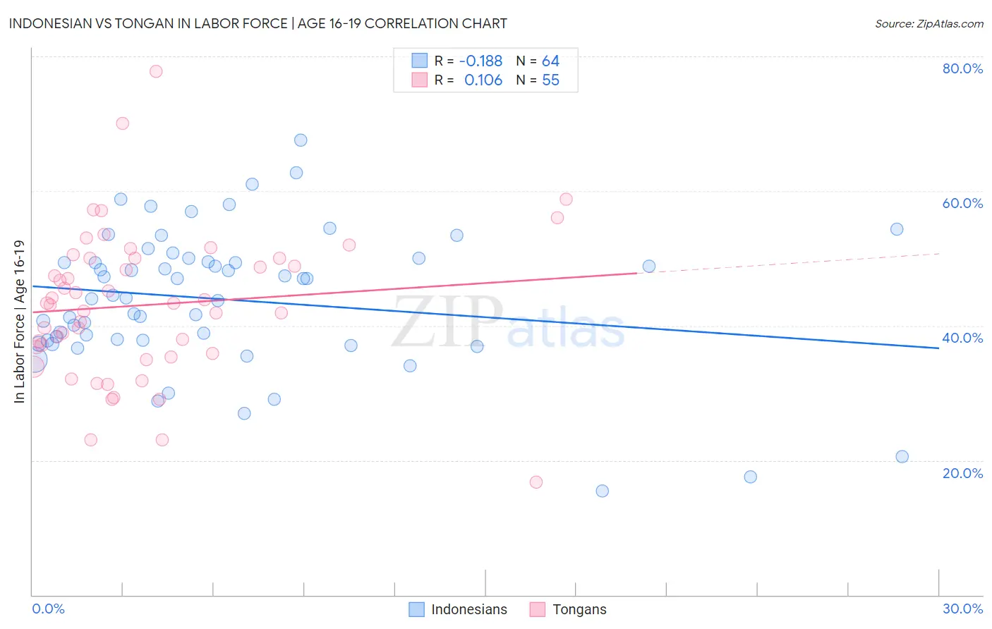 Indonesian vs Tongan In Labor Force | Age 16-19