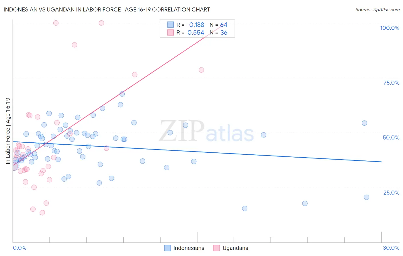 Indonesian vs Ugandan In Labor Force | Age 16-19