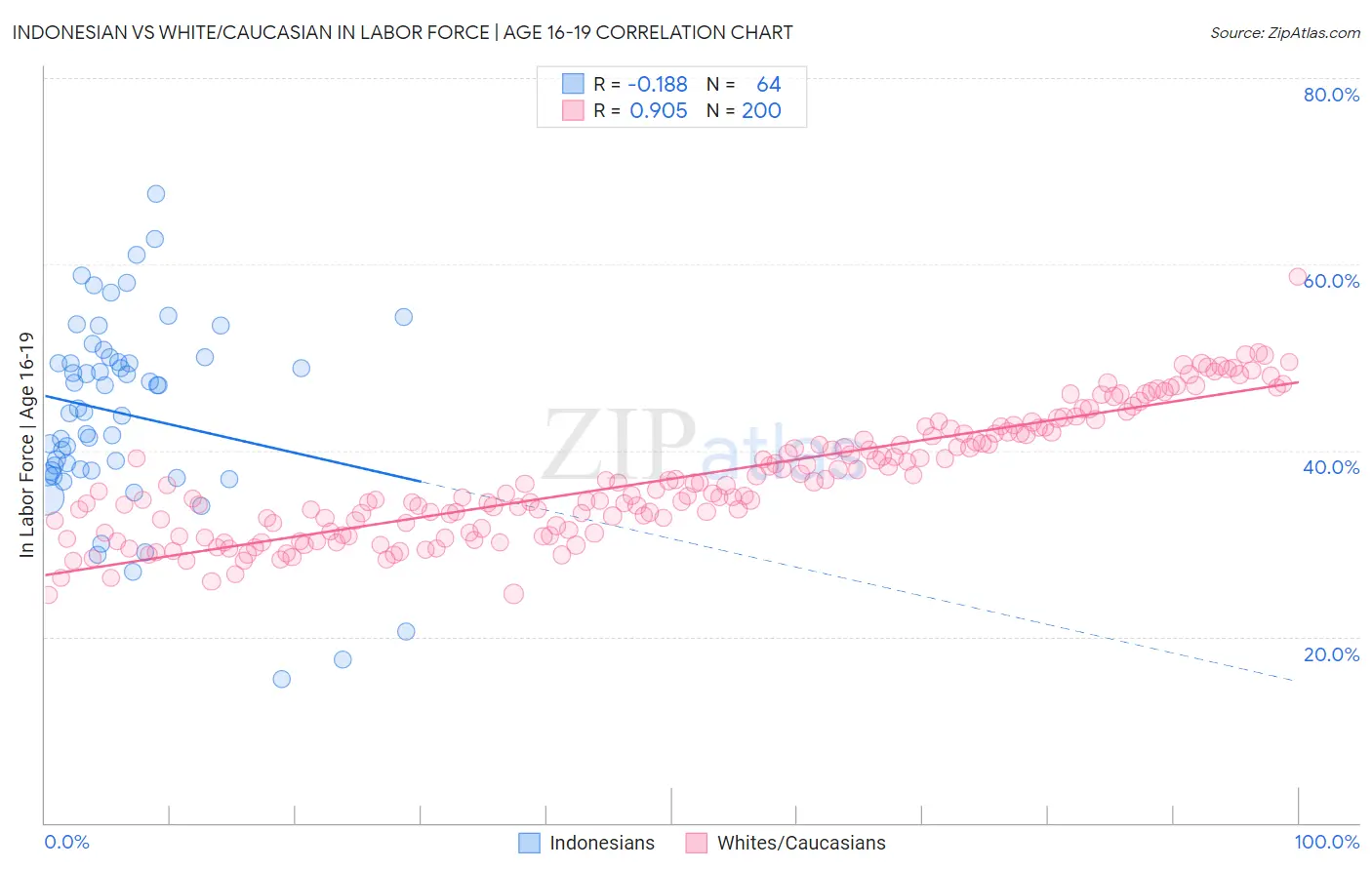 Indonesian vs White/Caucasian In Labor Force | Age 16-19