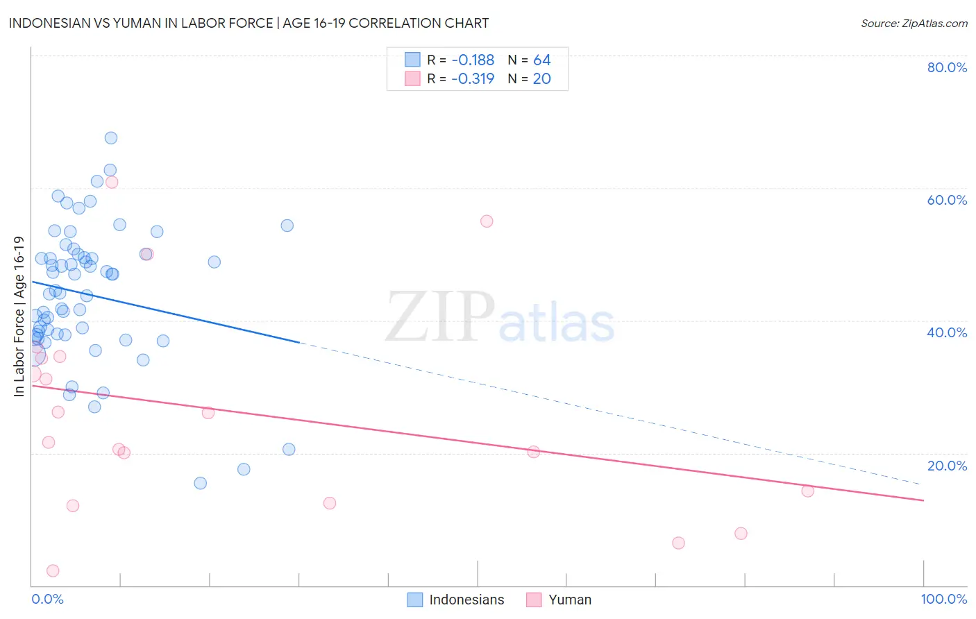 Indonesian vs Yuman In Labor Force | Age 16-19