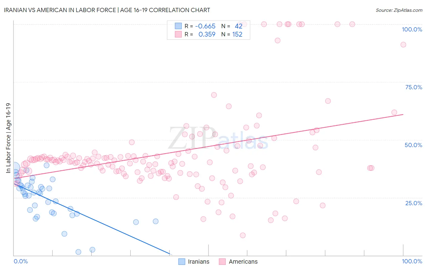 Iranian vs American In Labor Force | Age 16-19