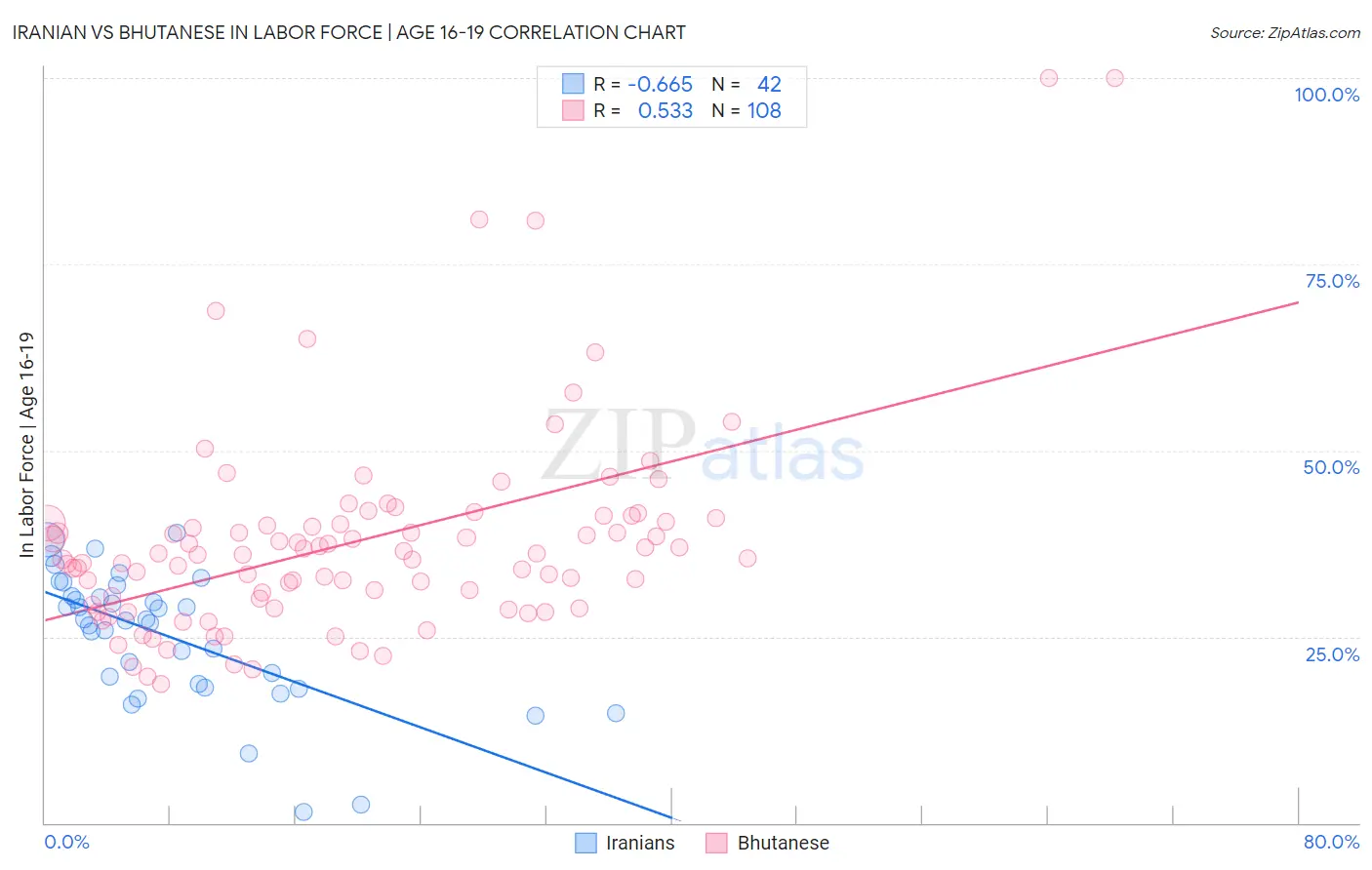 Iranian vs Bhutanese In Labor Force | Age 16-19