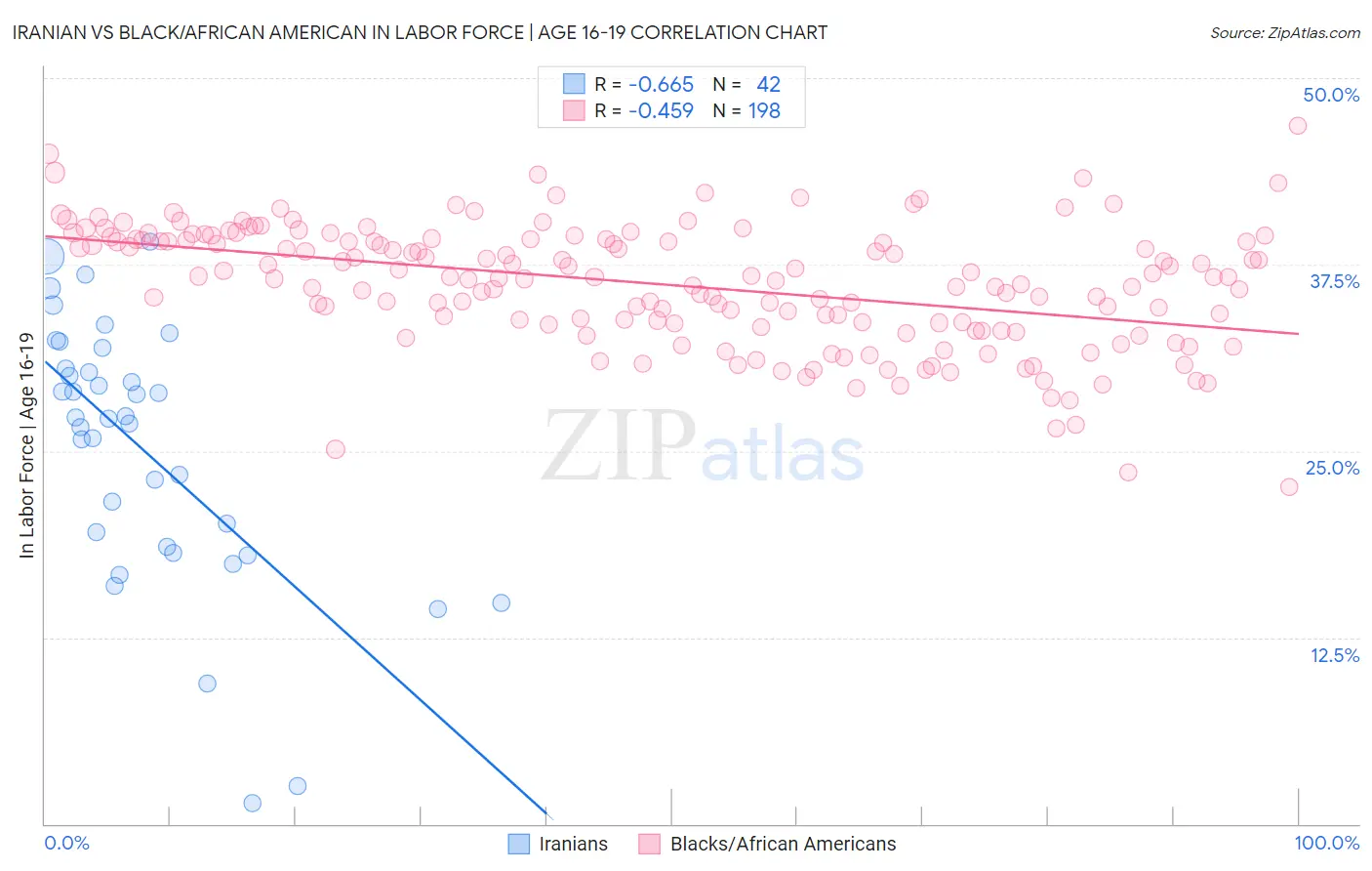 Iranian vs Black/African American In Labor Force | Age 16-19