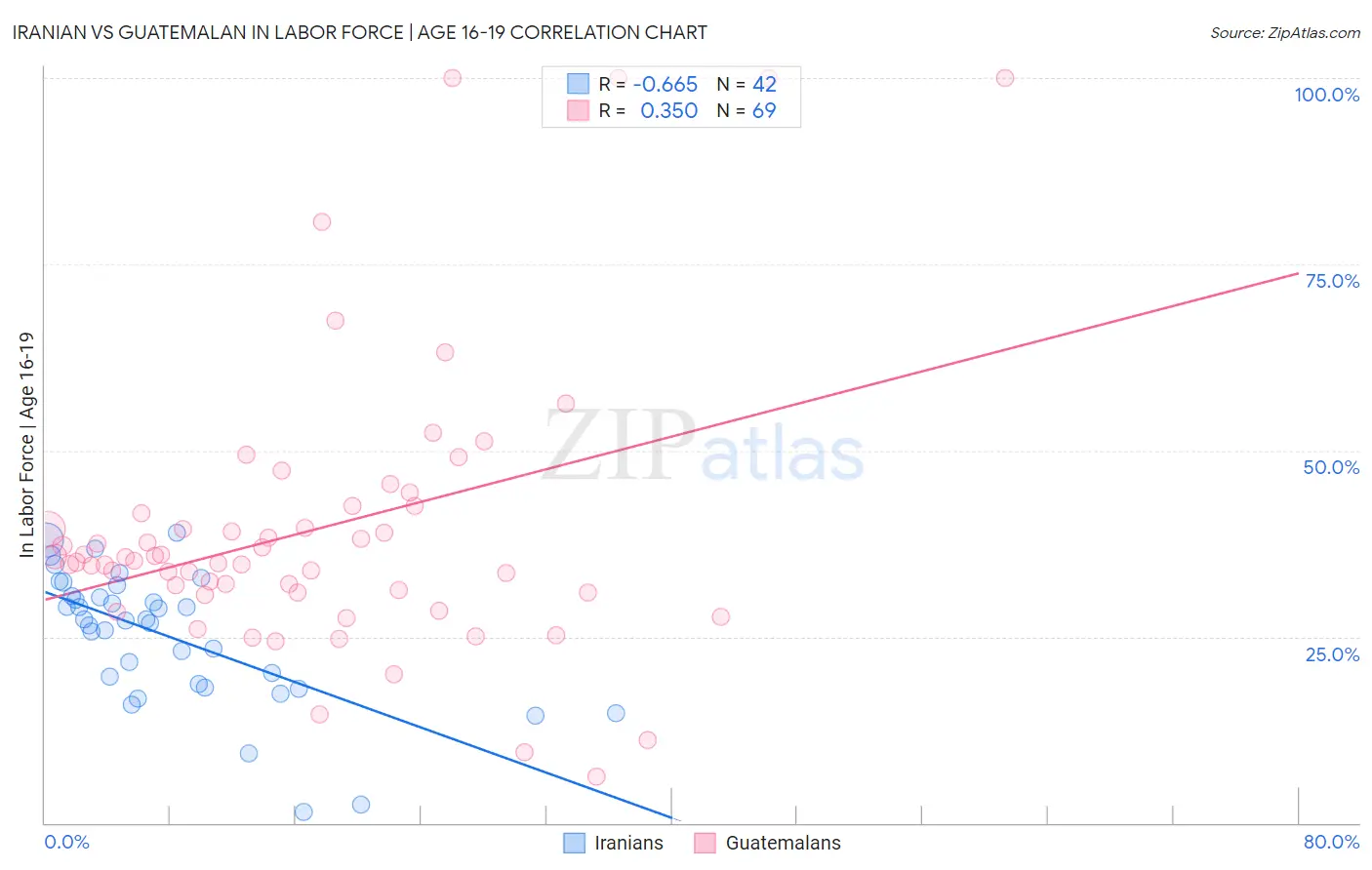 Iranian vs Guatemalan In Labor Force | Age 16-19