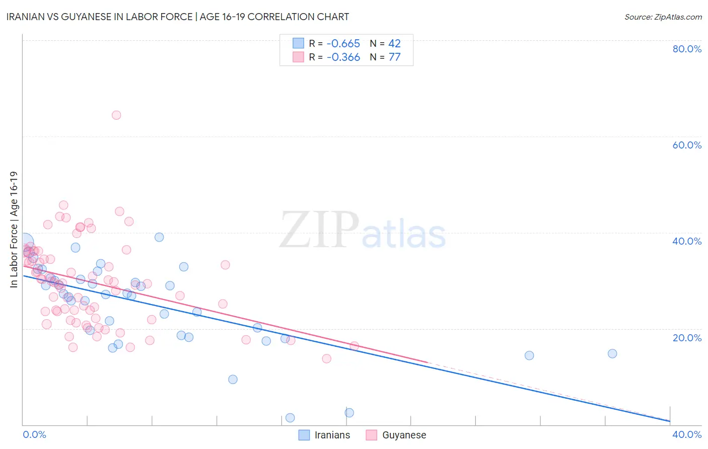 Iranian vs Guyanese In Labor Force | Age 16-19