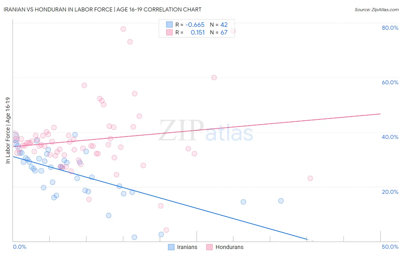 Iranian vs Honduran In Labor Force | Age 16-19