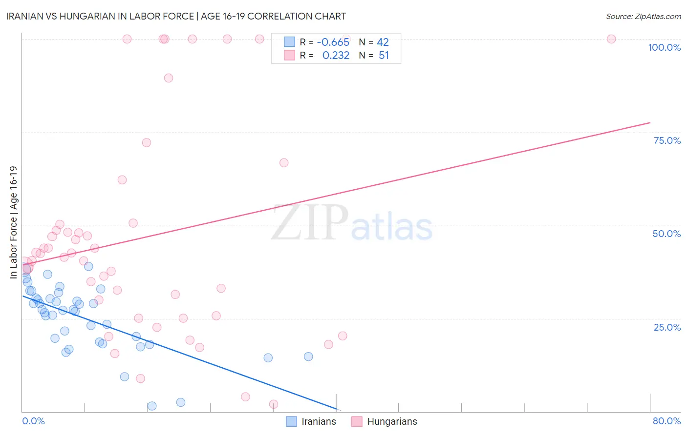 Iranian vs Hungarian In Labor Force | Age 16-19