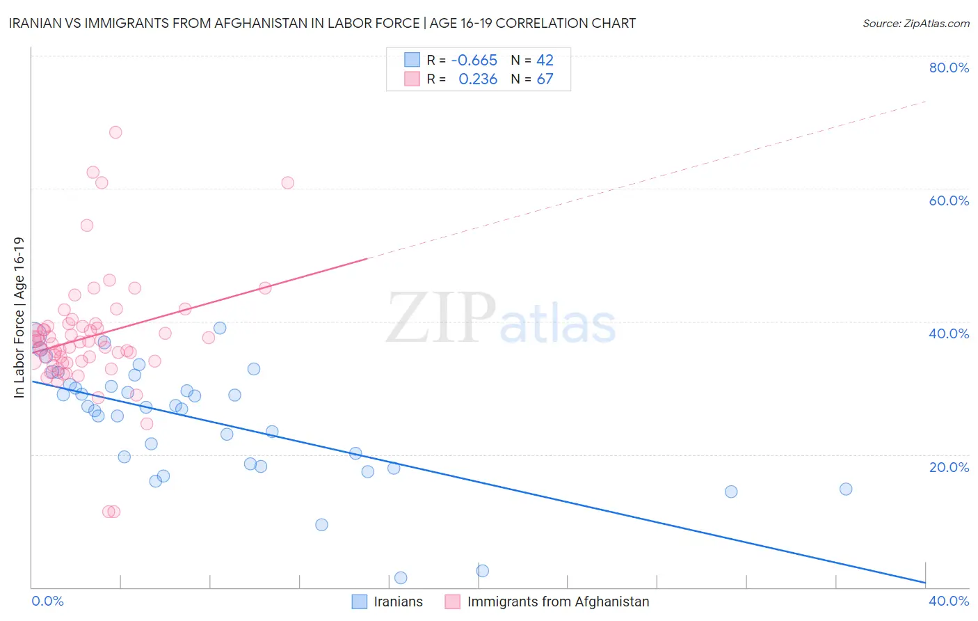 Iranian vs Immigrants from Afghanistan In Labor Force | Age 16-19