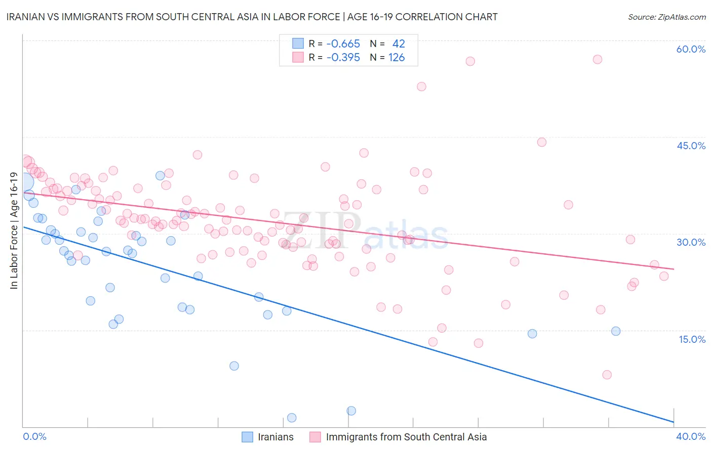 Iranian vs Immigrants from South Central Asia In Labor Force | Age 16-19