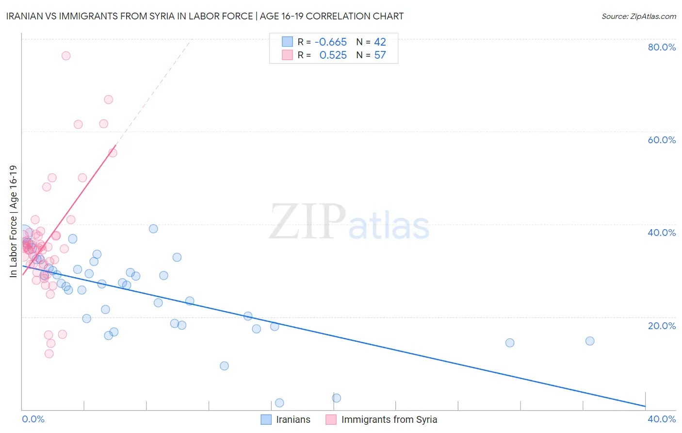 Iranian vs Immigrants from Syria In Labor Force | Age 16-19
