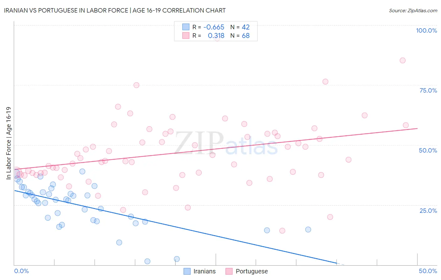 Iranian vs Portuguese In Labor Force | Age 16-19