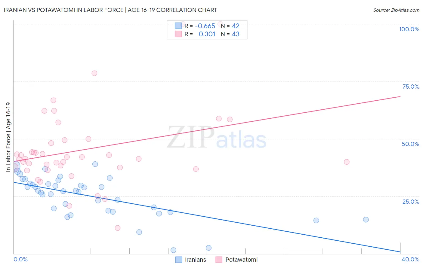 Iranian vs Potawatomi In Labor Force | Age 16-19