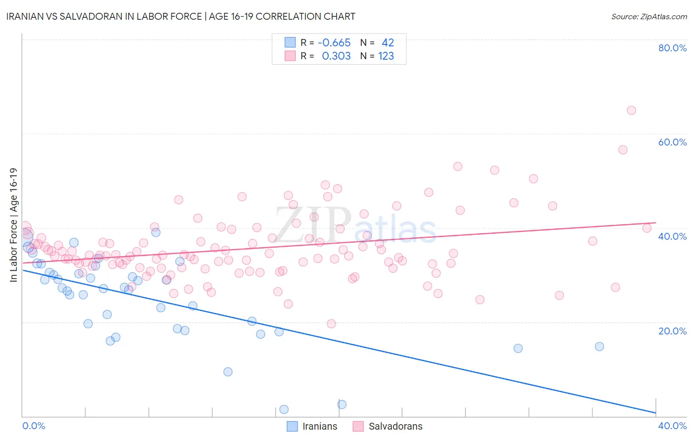 Iranian vs Salvadoran In Labor Force | Age 16-19