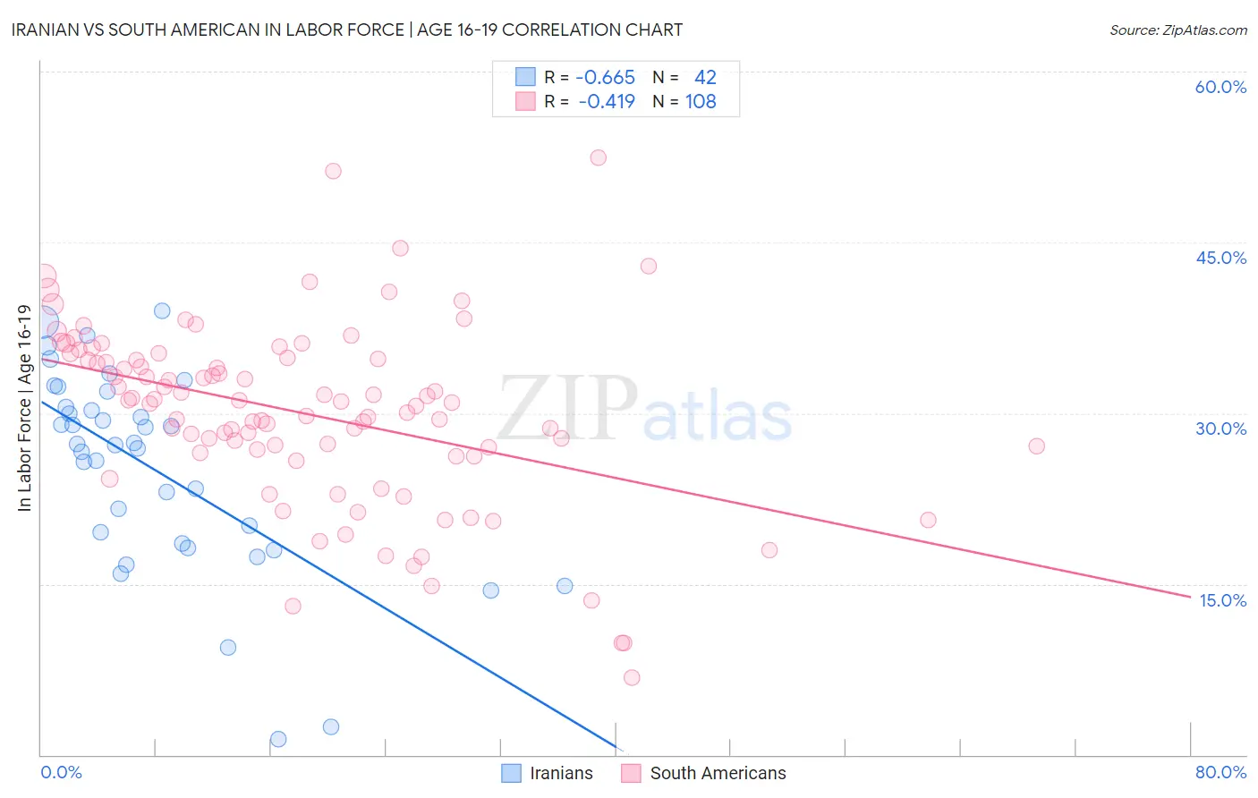 Iranian vs South American In Labor Force | Age 16-19
