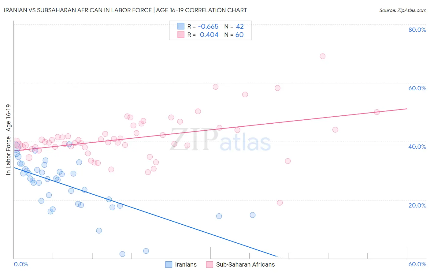 Iranian vs Subsaharan African In Labor Force | Age 16-19