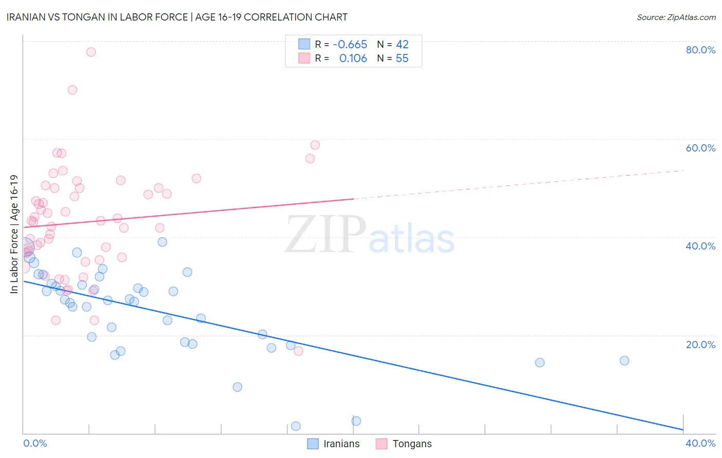 Iranian vs Tongan In Labor Force | Age 16-19