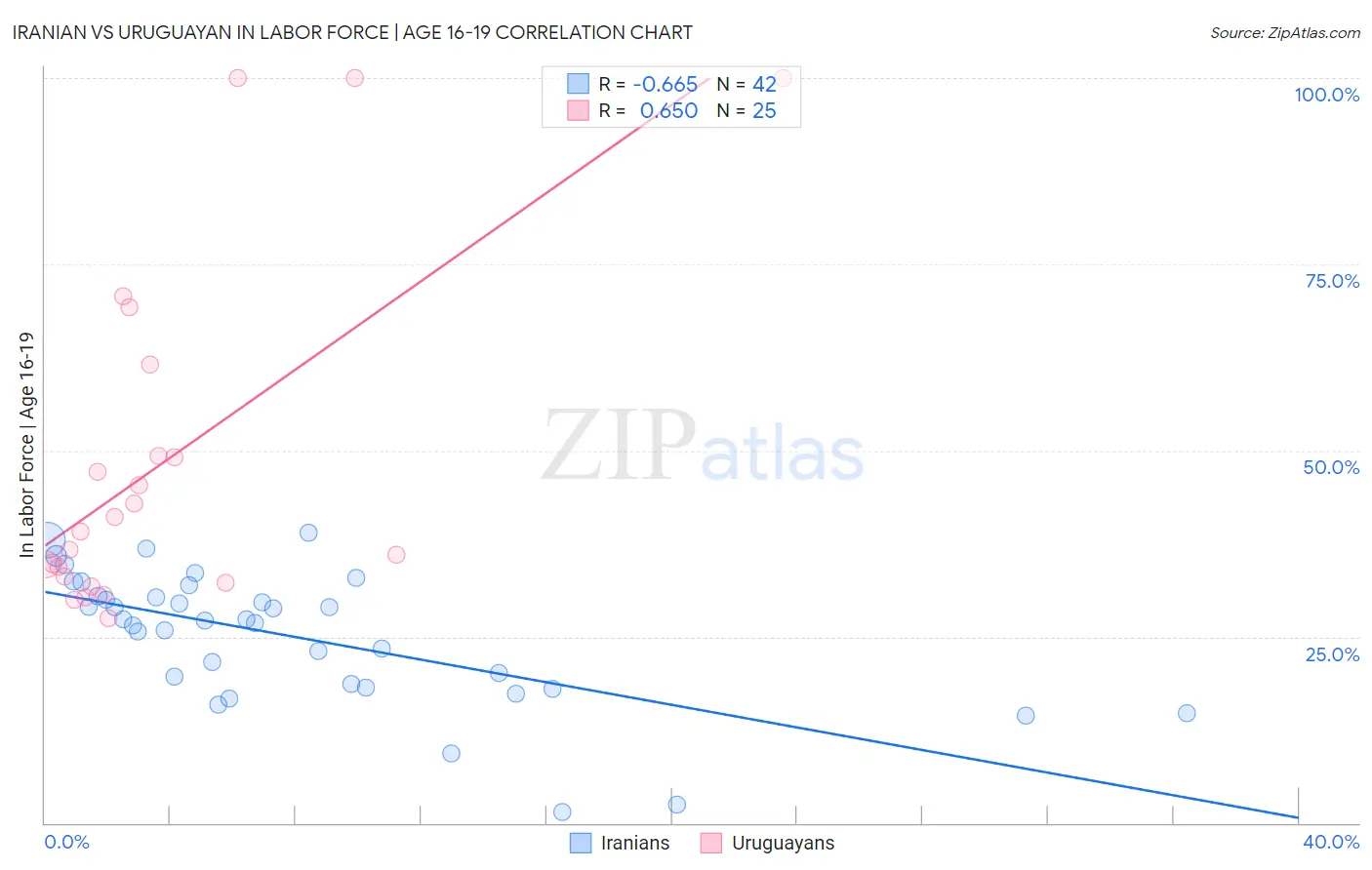 Iranian vs Uruguayan In Labor Force | Age 16-19