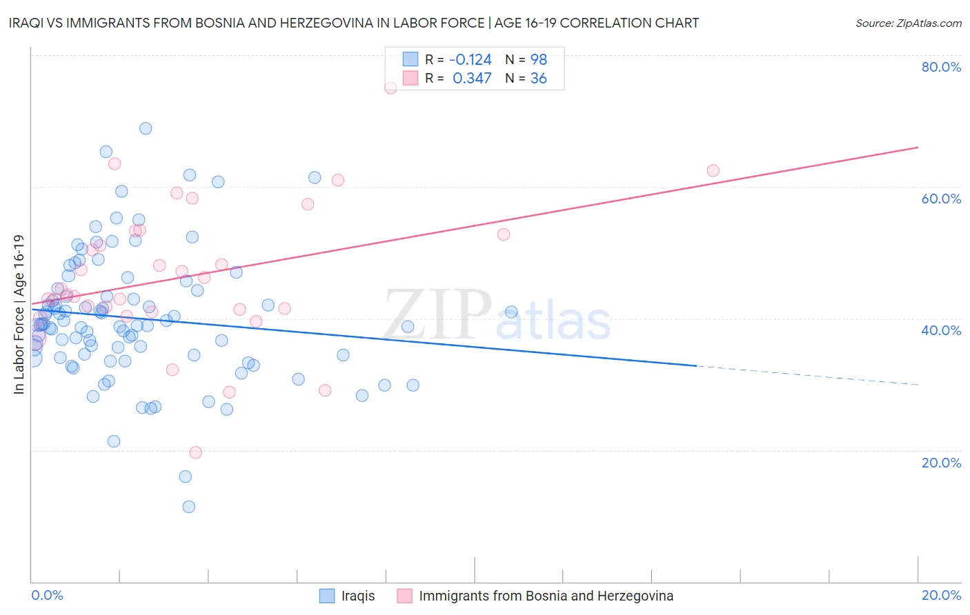 Iraqi vs Immigrants from Bosnia and Herzegovina In Labor Force | Age 16-19
