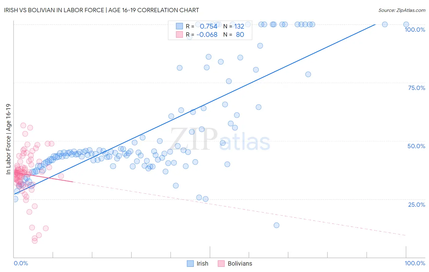 Irish vs Bolivian In Labor Force | Age 16-19