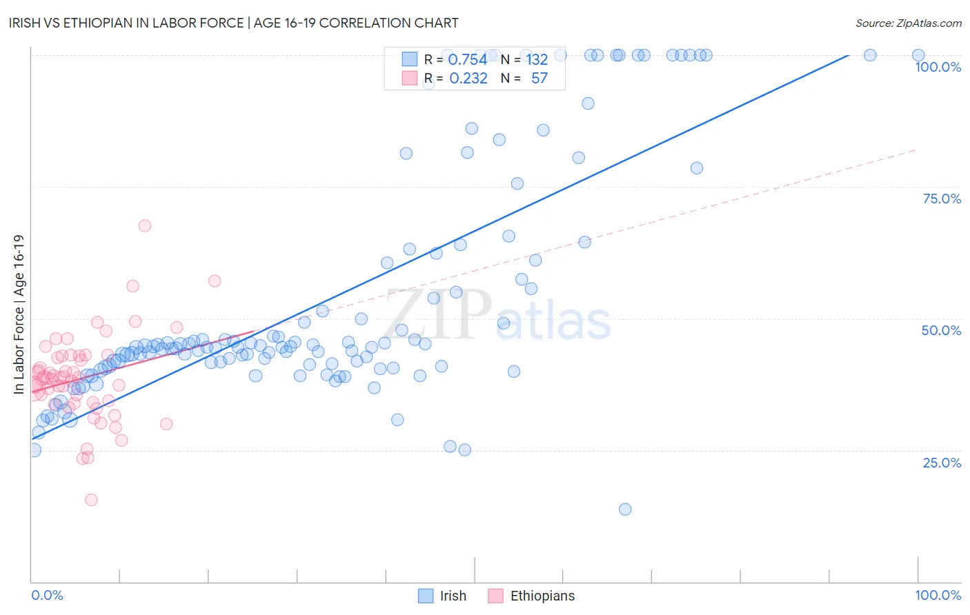 Irish vs Ethiopian In Labor Force | Age 16-19